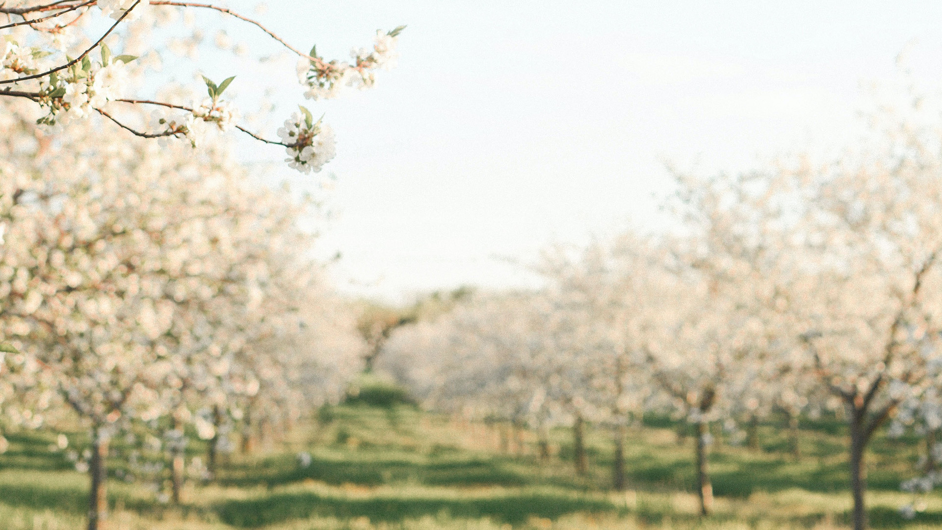 vvoum - La bastide à fruits