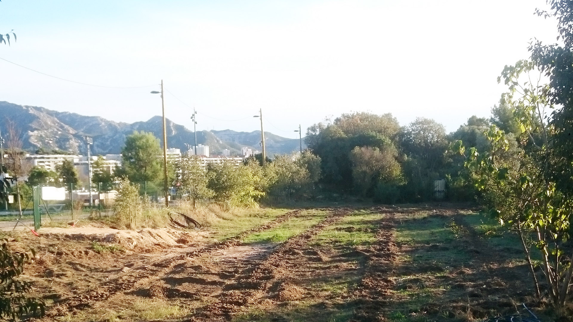 La bastide à fruits - vvoum - lignes plantation