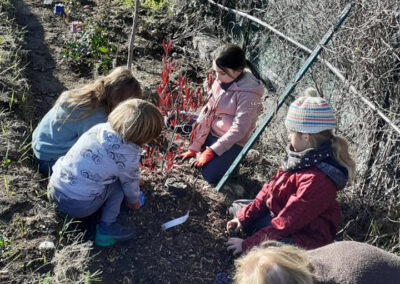 Haies sud - les jeunes poussent en action