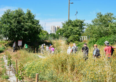 La Bastide à fruits - vvoum - fête de la nature et de l'agriculture urbaine