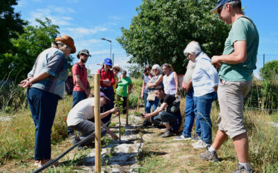 LES ATELIERS DE SCIENCES PARTICIPATIVES À LA BASTIDE À FRUITS