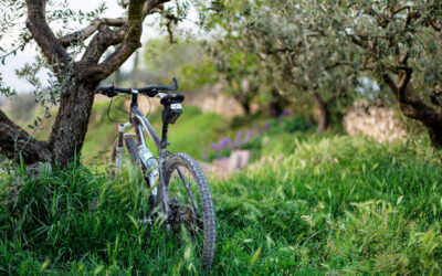 Tour de France à vélo de la Syntropie